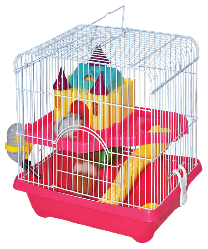 أرخص مكان بيع مستلزمات القطط  ( saifpets)